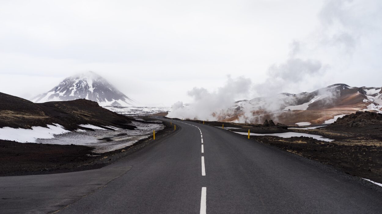 Financial Roadmap